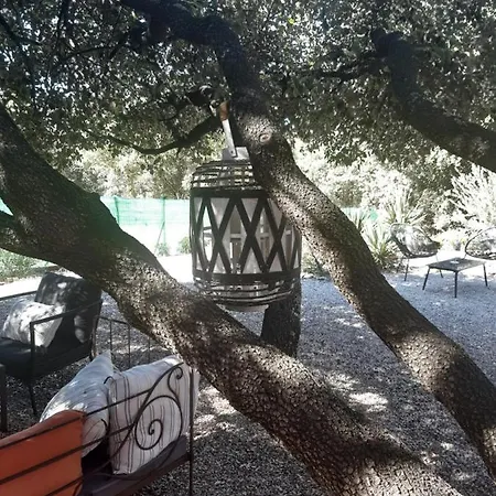 Le Calme De La Garrigue * Russan