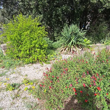 Le Calme De La Garrigue *