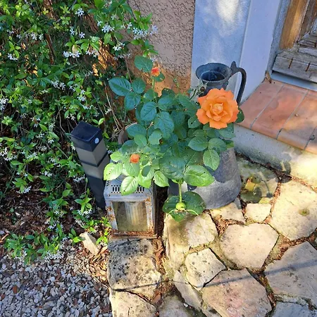 Nocleg ze śniadaniem Le Calme De La Garrigue Russan