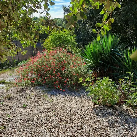 Le Calme De La Garrigue * Russan