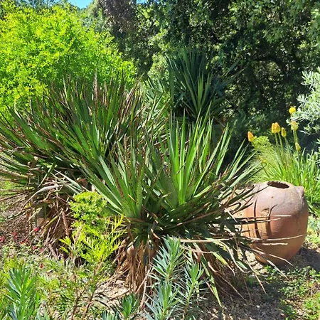Le Calme De La Garrigue * Russan