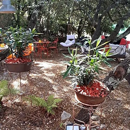 Le Calme De La Garrigue *