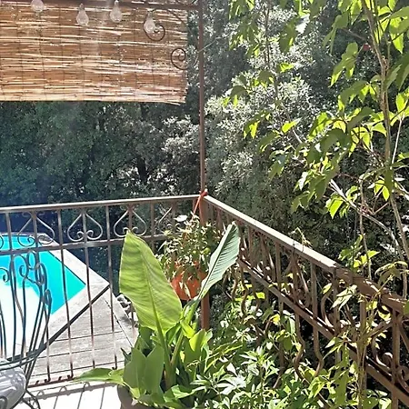 Le Calme De La Garrigue Russan